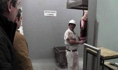Utilizan nueva maquinaria en frigor�fico