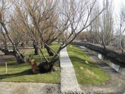 Apuntan a la forestaci�n en la Regi�n Sur de la Provincia