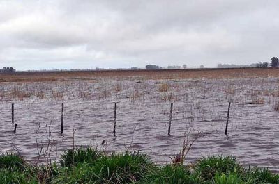 �No se puede aplicar la emergencia mientras el Gobernador no la firme por decreto�