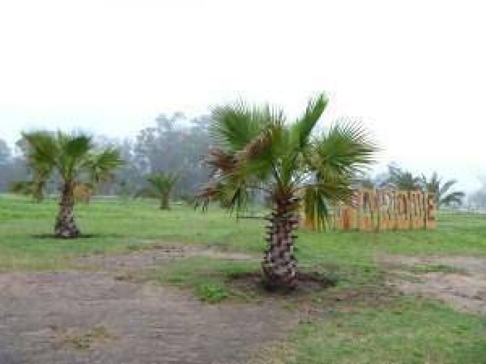 Siguen las obras en el Parque Gral. San Mart�n