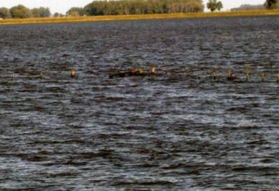 El campo de Saladillo y la zona bajo el agua y varios distritos bonaerenses en emergencia