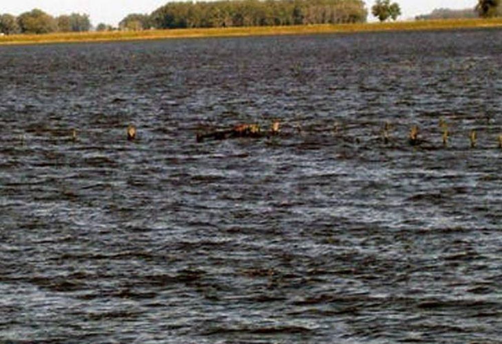El campo de Saladillo y la zona bajo el agua y varios distritos bonaerenses en emergencia