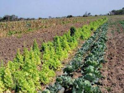 La agricultura debe integrar la ciudad con el campo