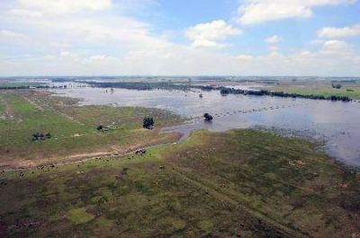 El 80 por ciento de Pehuaj� se encuentra bajo agua