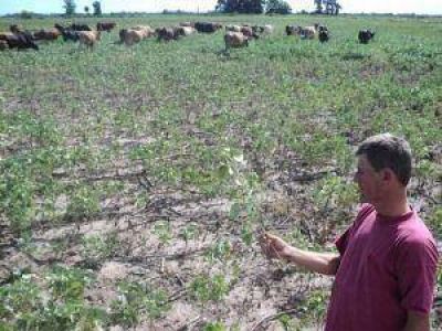 Las lluvias y la apuesta al campo