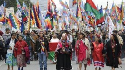 Pueblos originarios cuestionaron la forma en que fueron incluidos en el nuevo C�digo 