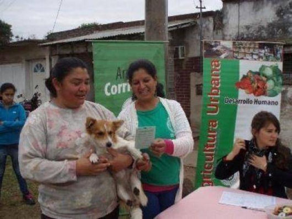 Leishmaniasis: a�n no se lleg� al m�ximo de casos positivos