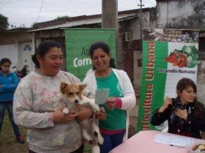 Leishmaniasis: a�n no se lleg� al m�ximo de casos positivos