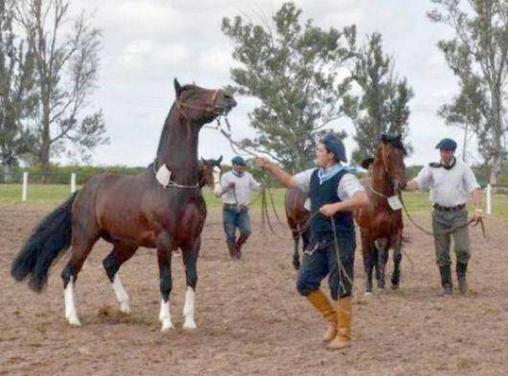 Jornada inaugural en la Expo rural del Paiubre