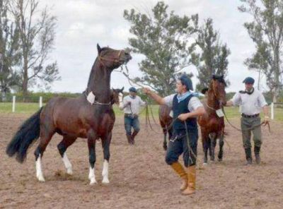 Jornada inaugural en la Expo rural del Paiubre