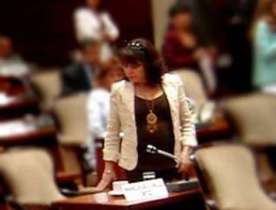 Diputada solicita al ejecutivo provincial se instrumenten medidas para evitar cortes en el servicio el�ctrico por atrasos en el pago de salarios.