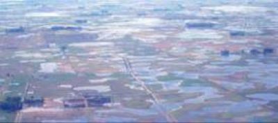 Complicado panorama h�drico en el oeste de la provincia