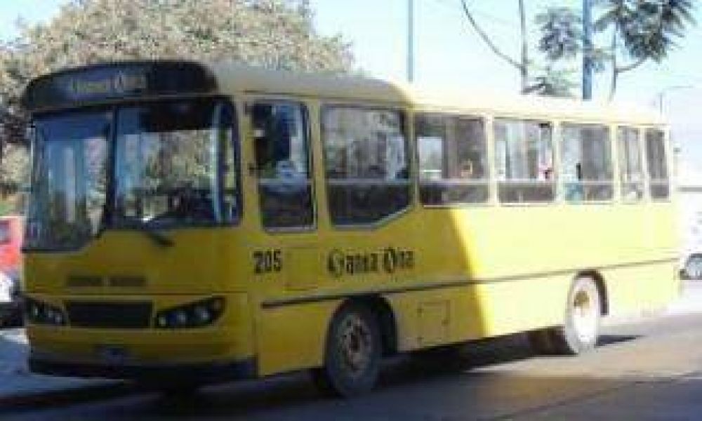 Empresario del Transporte juje�o expres� que participar de la audiencia p�blica �ser�a una p�rdida de tiempo�.