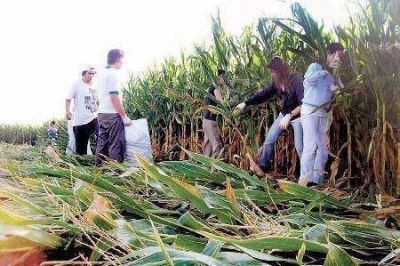 Laboulaye aporta 54 mil platos de comida con la chocleada 