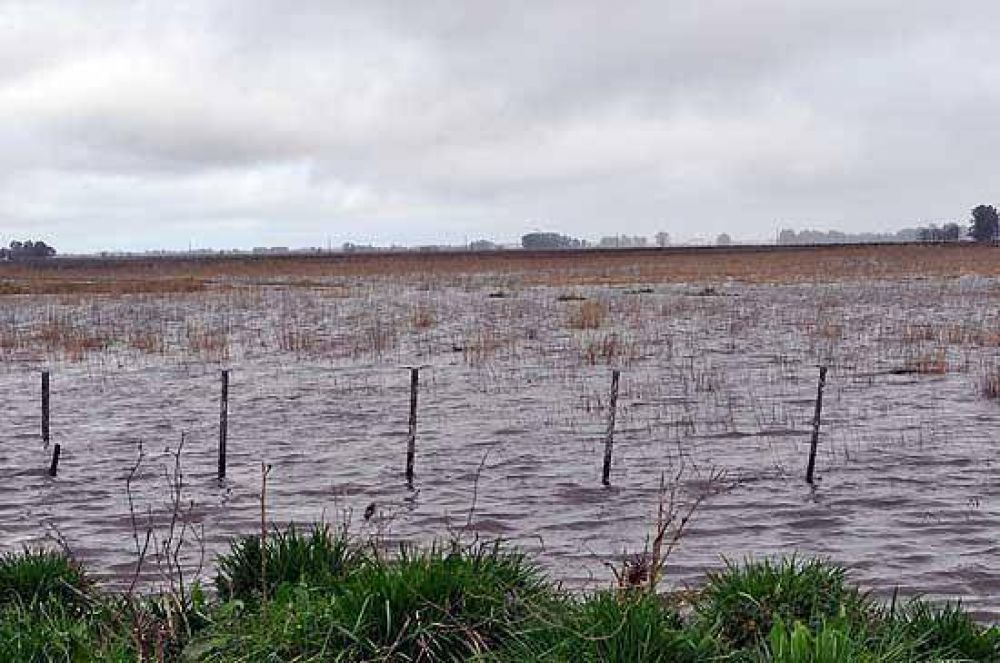 Estiman que un 30% de la cosecha fina de Olavarra se perdi por las inundaciones