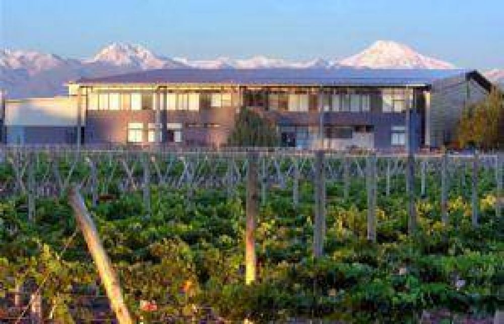 Peque�as bodegas exportaron en un a�o por U$S 350.000 a China