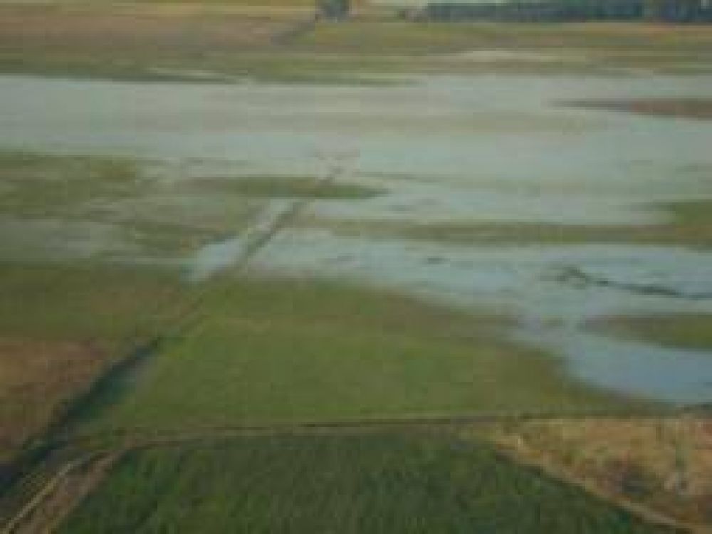 Inundaciones: Productores de Bol�var piden a Scioli que declare la Emergencia Agropecuaria