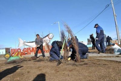 En el monumento a la Trucha el Municipio inici� el plan de forestaci�n