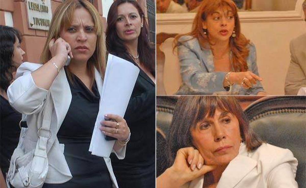 La cuesti�n de g�nero no altera a las legisladoras.