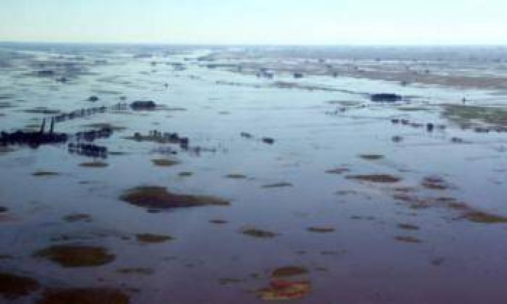 El agua escurre a los arroyos y descomprime la inundaci�n en campos de la Provincia