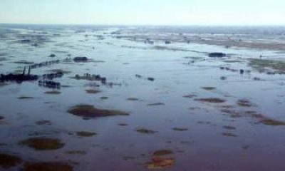 El agua escurre a los arroyos y descomprime la inundaci�n en campos de la Provincia