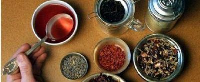 �SolidarizaT�, en Sociales: Un encuentro entre la solidaridad y una cultura de sabores