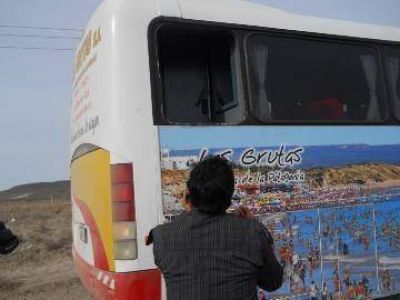 Chico grave al caer por la ventana de un micro