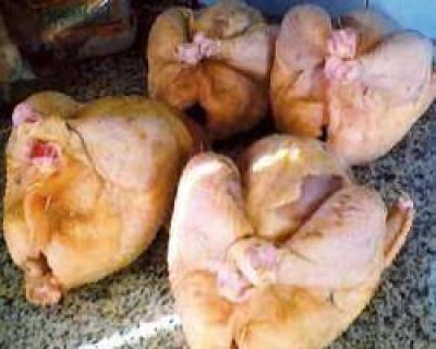Desde el lunes, el kilo de pollo se vende con un 20% de aumento