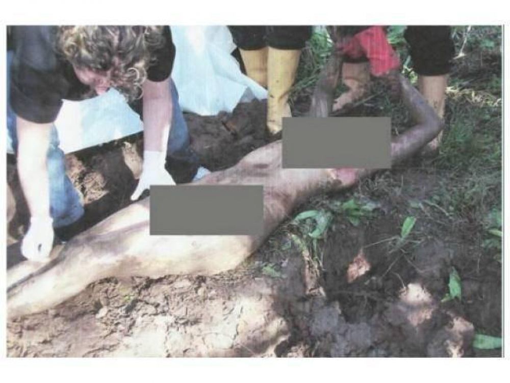 Estar�a identificada la mujer que encontraron decapitada 