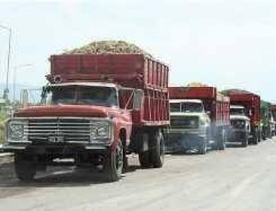 Hoy, 24 bodegas comienzan a elaborar las uvas del Estado
