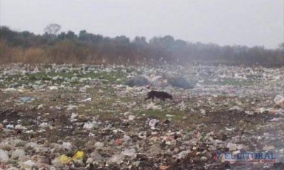 Encontraron en un basural un feto de seis meses y no presentaba lesiones
