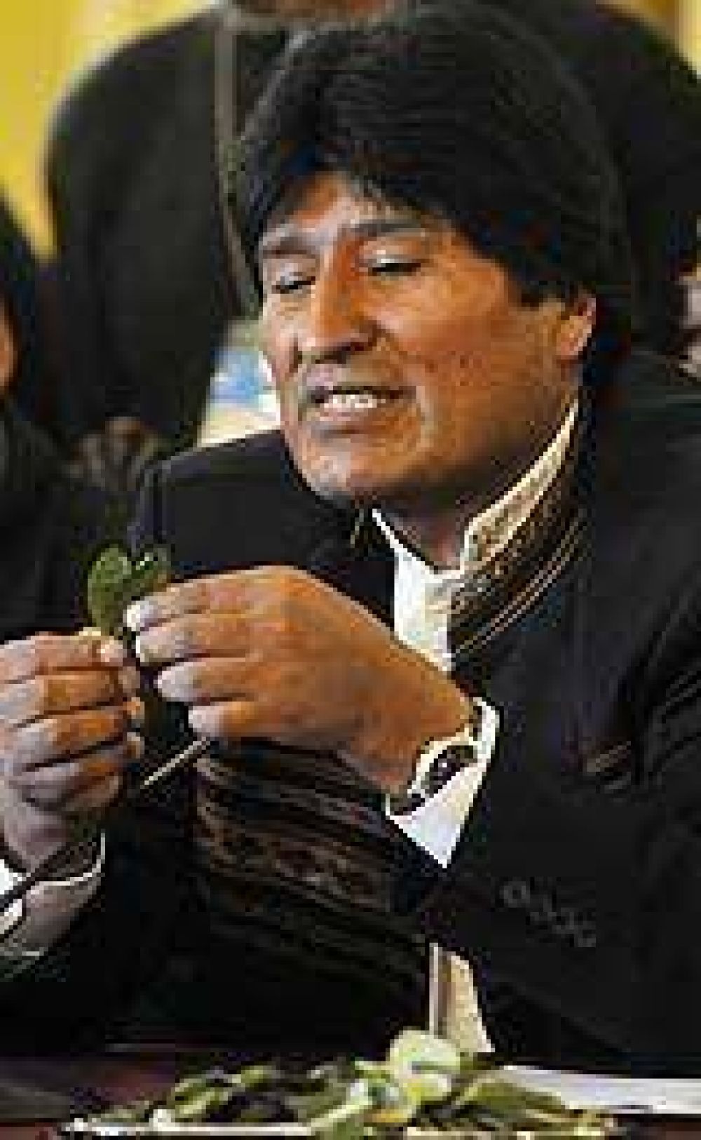 Evo pidi� despenalizar la coca masticando hoja ante la ONU 
