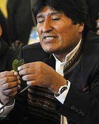 Evo pidi� despenalizar la coca masticando hoja ante la ONU 