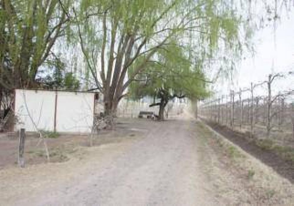 Ola de robos cerca a los chacareros en Centenario 