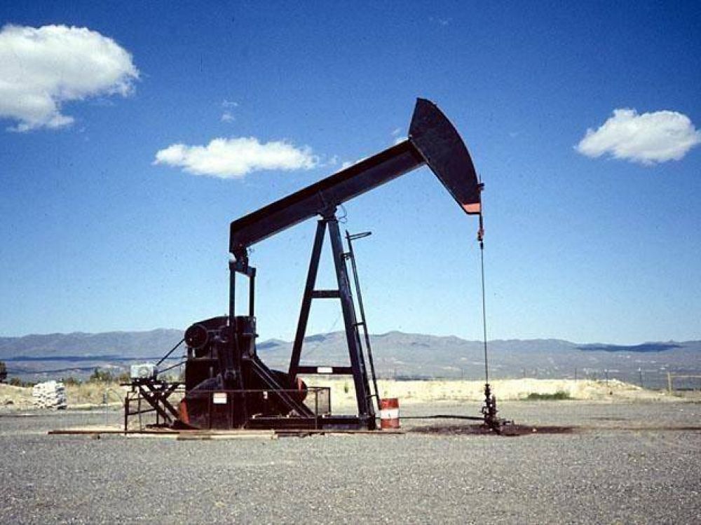 Planteo de la UCR por la empresa de energ�a fren� adjudicaci�n de �reas petroleras