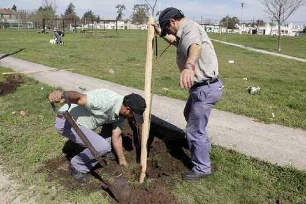 J�venes junto con el Municipio forestaron Plaza Per�n