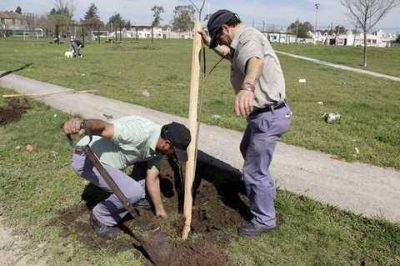 J�venes junto con el Municipio forestaron Plaza Per�n