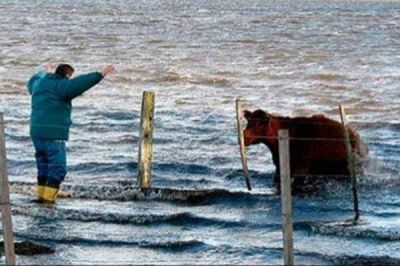 El lunes vuelve a reunirse la Comisi�n de Emergencia Agropecuaria por inundaciones
