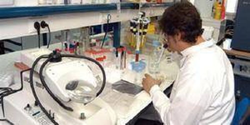 Drogas: M�s padres piden an�lisis para sus hijos