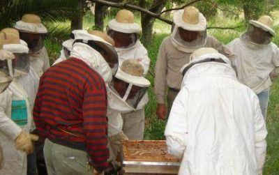 Este s�bado se realiza jornada ap�cola en Doblas