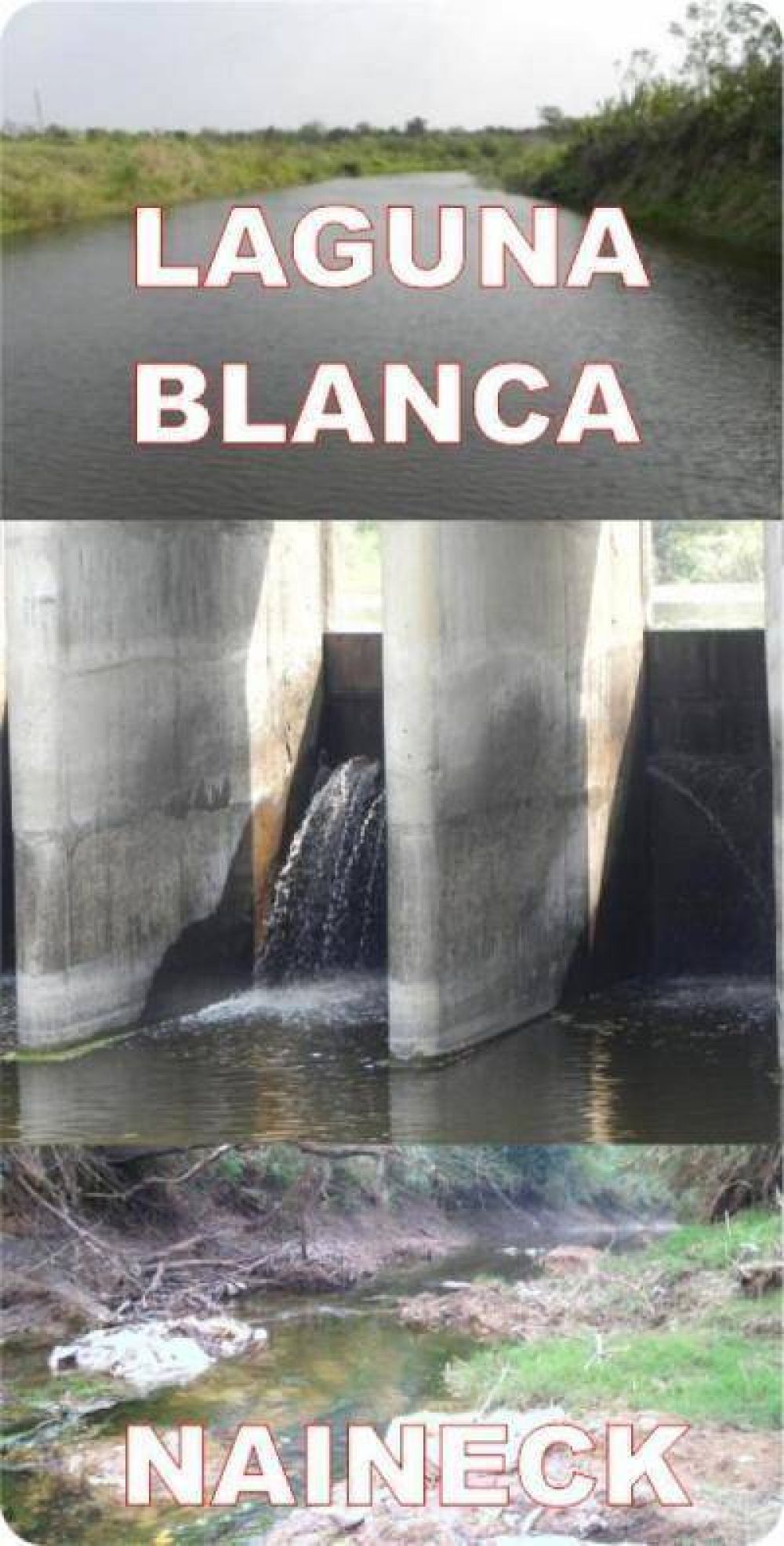 En Naineck distribuyen agua podrida. Gildo Insfr�n hizo retener toda el agua para Laguna Blanca, su campo y una Semillerra
