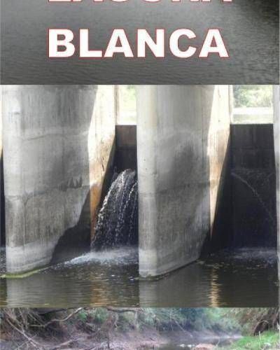 En Naineck distribuyen agua podrida. Gildo Insfr�n hizo retener toda el agua para Laguna Blanca, su campo y una Semillerra