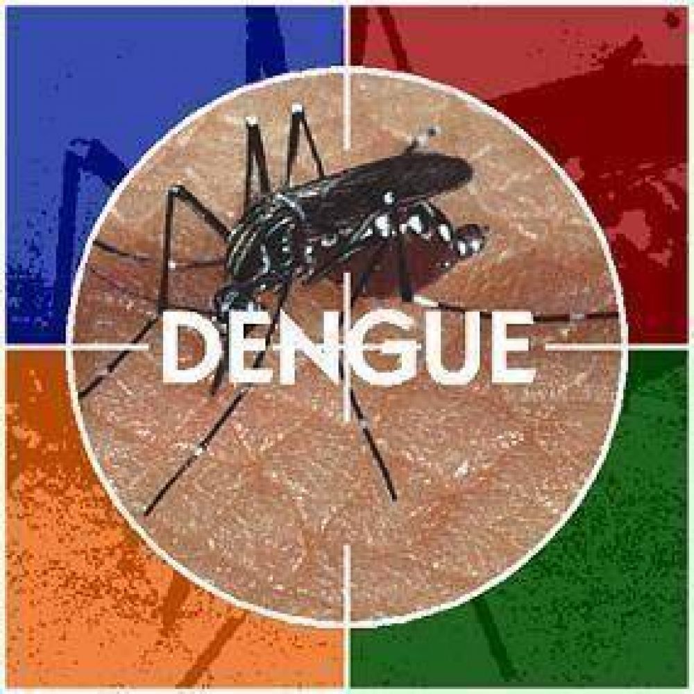 Refuerzan la vigilancia epidemiol�gica contra el dengue