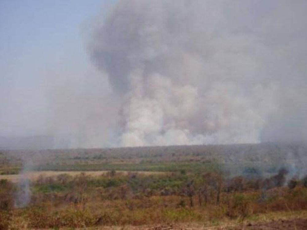 Peligrosidad extrema de los incendios forestales