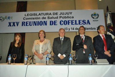  Se realiz� el COFELESA en Jujuy