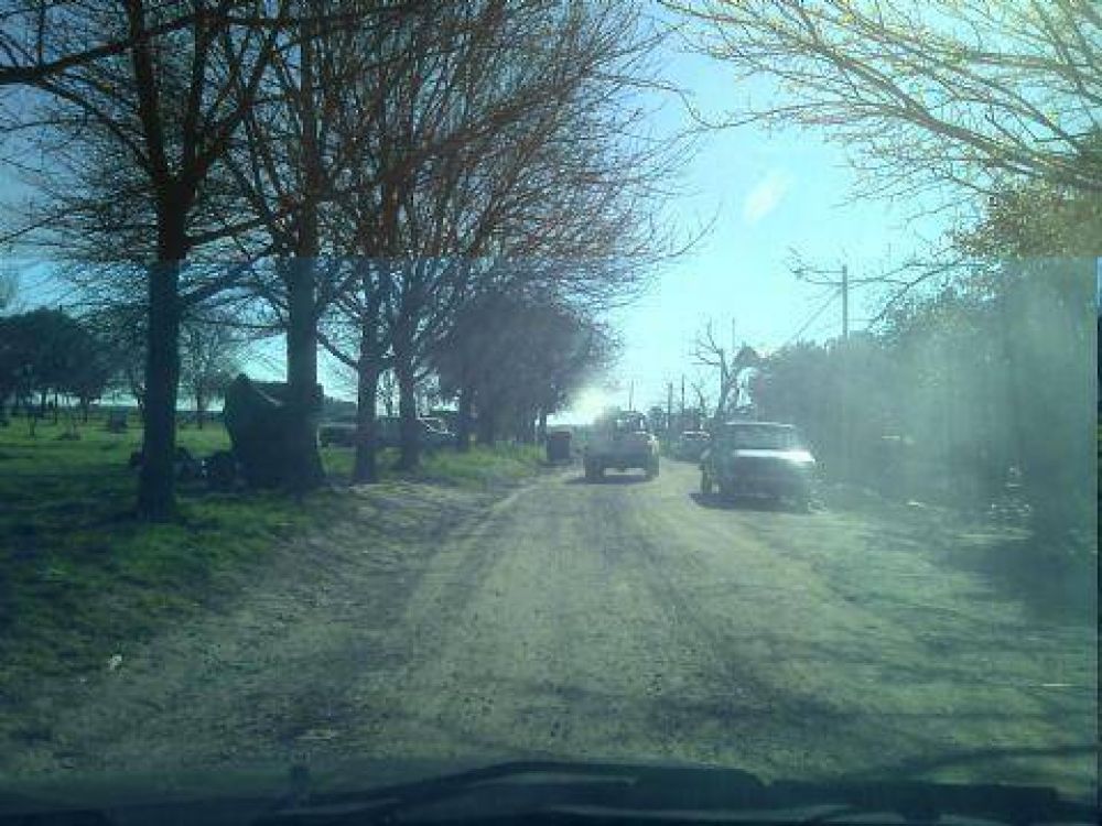 Se realizaron tareas de fumigaci�n