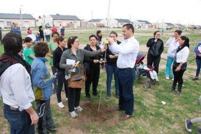  Programa Crecemos Juntos: plantan un �rbol por cada beb� que nace