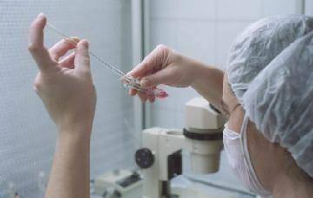 Ordenan cubrir caso de fertilizaci�n asistida