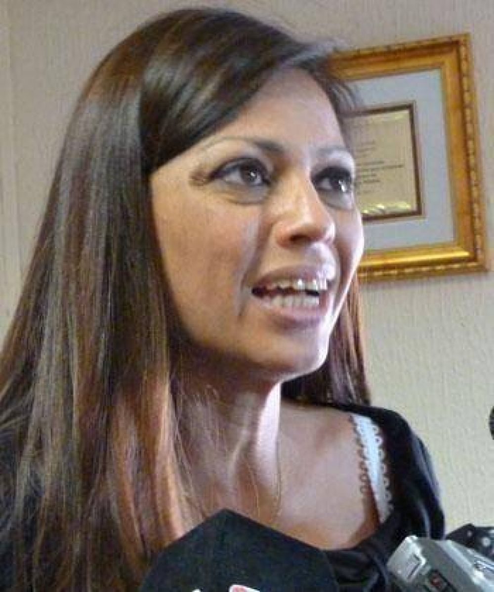 Gestionan la venta a Venezuela de casas de madera hechas en Misiones