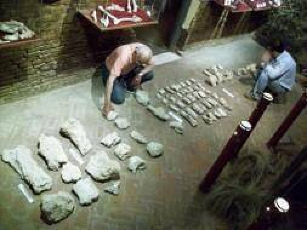 Hallan piezas del mam�fero m�s grande de la prehistoria en Vuelta de Obligado